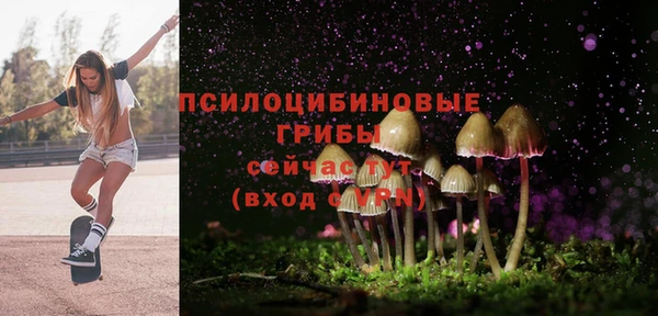 гашишное масло Медвежьегорск