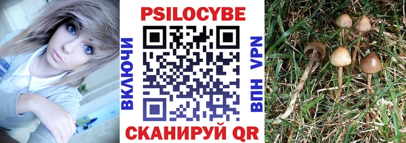 дарк нет какой сайт  Вышний Волочёк  Галлюциногенные грибы ЛСД 