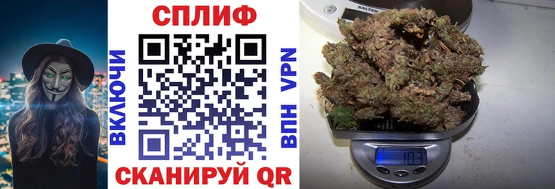 omg онион  Вышний Волочёк  Каннабис White Widow 